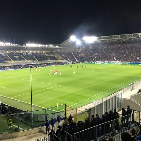 Mario Lupo *